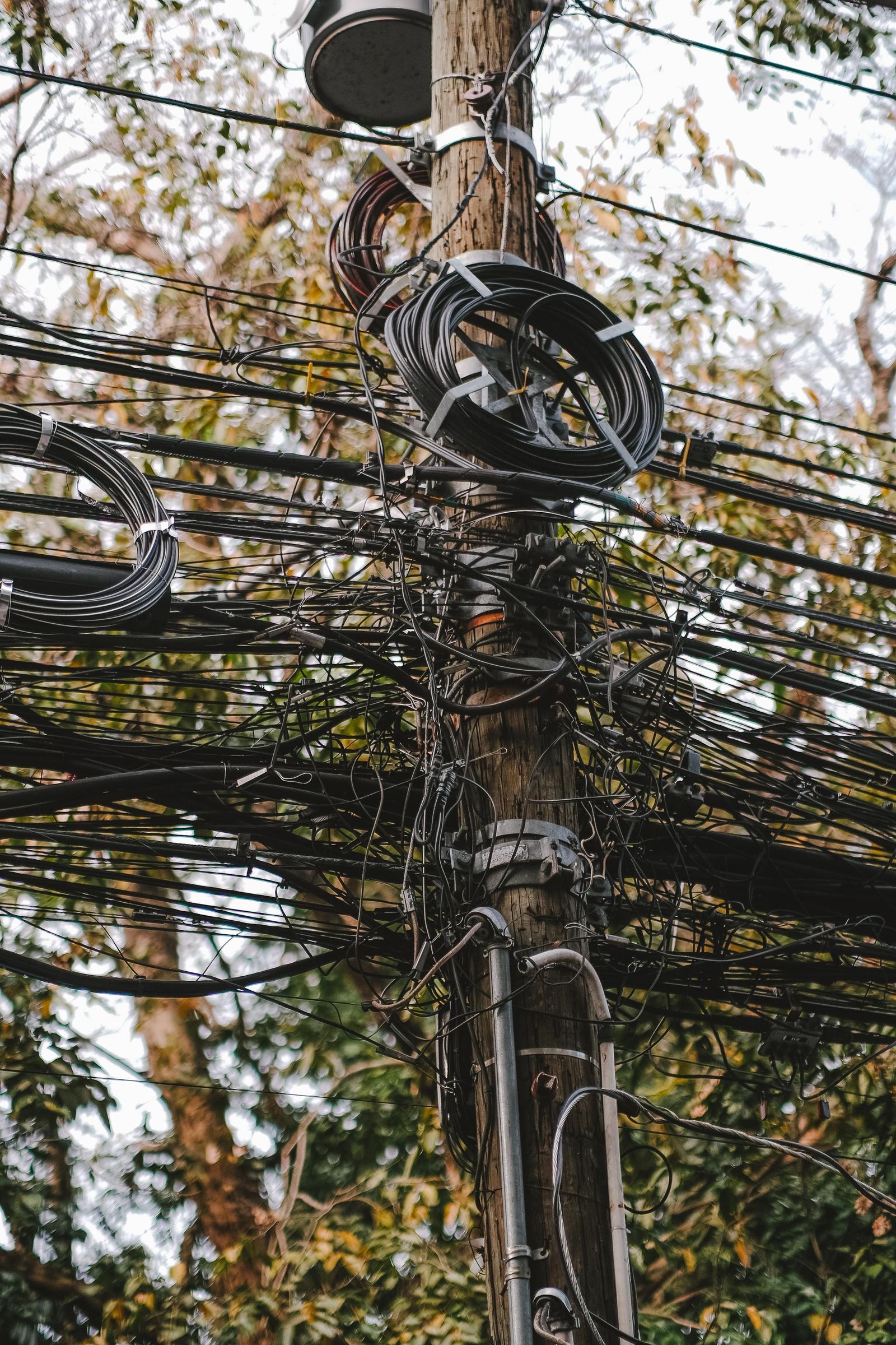 Poste com muitos cabos pretos enrolados e emaranhados entre árvores