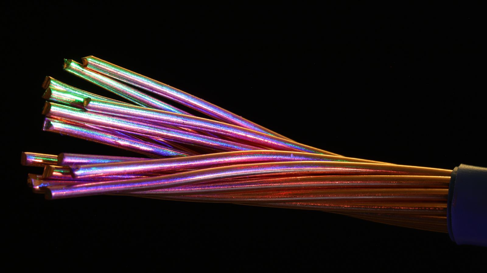 Macro de fios de cobre saindo de um cabo azul sobre fundo preto